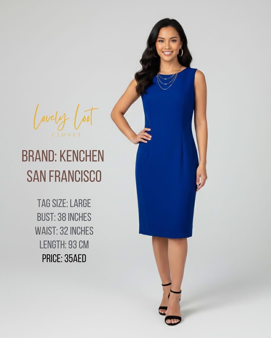 Kenchen San Francisco Royal Blue Sleeveless Sheath Dress | Size L