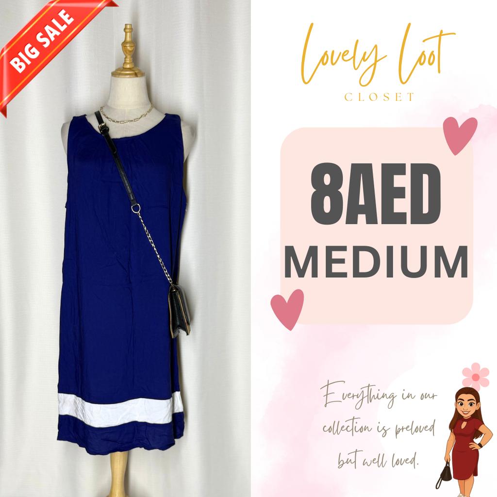 Blue and White Sleeveless Dress (Medium)
