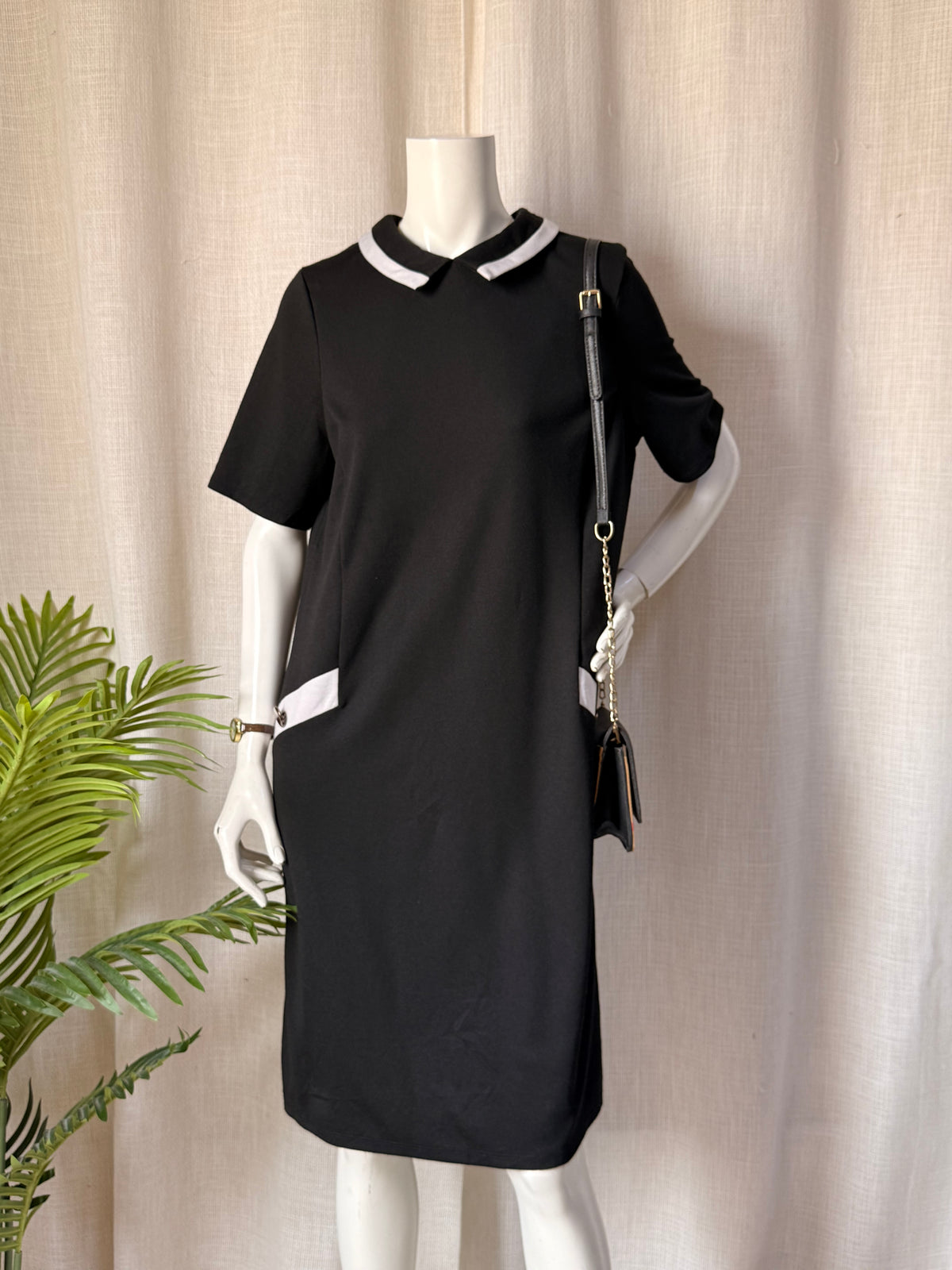 Wallis Black Contrast Collar Shift Dress – UK 16 | Elegant Workwear Midi Dress | Plus Size